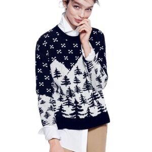 J. Crew Cabin Alpine Wool Sweater